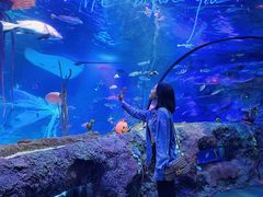 -沈阳海洋探索中心