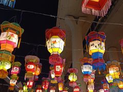-锦江乐园舞狸花花游园会(夜场专享)