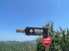 -大岭沟猕猴桃谷风景区