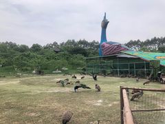 -秀丽东方