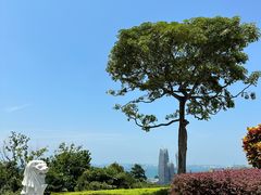 -花柏山公园