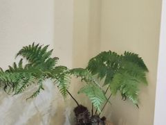 -锦艾·推拿艾灸&疗愈SPA(凯德1818店)