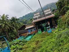 -野象谷景区