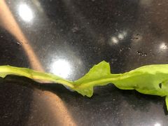 -情忆草原涮肉馆