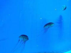 -华夏文旅西安度假区