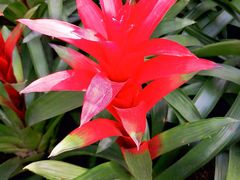 -北京植物园-展览温室