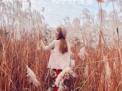 -梁鸿国家湿地公园
