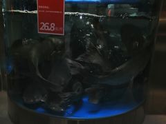 -蜀滋香鲜鱼美蛙火锅(339店)
