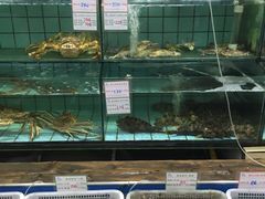 水产区-海岛渔村大酒店(云霄路店)