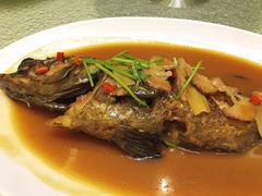 -頂好酒家·经典粤菜(海信广场店)
