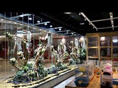 -趣陶陶艺手工坊(新世界百货重庆店)