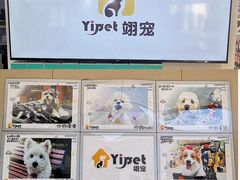 -翊宠yipet猫狗购宠庄园犬舍•猫舍