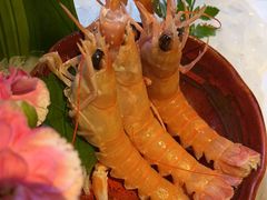 -Mr.Fish鱼鲜生海鲜放题(高德置地冬广场店)