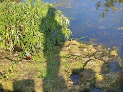 -贵阳市花溪国家城市湿地公园