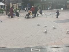 -中粮·祥云小镇