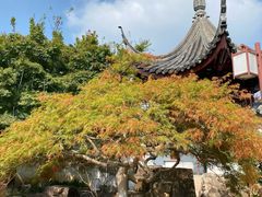 -苏州冶园园林民宿(太湖西山风景区店)