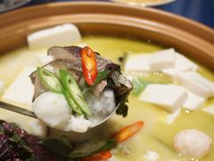 浓汤千岛湖雄鱼头-湘轩·土菜研究院(光大店)