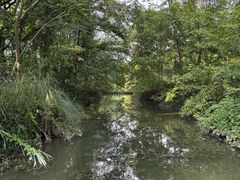 -桤木河湿地公园