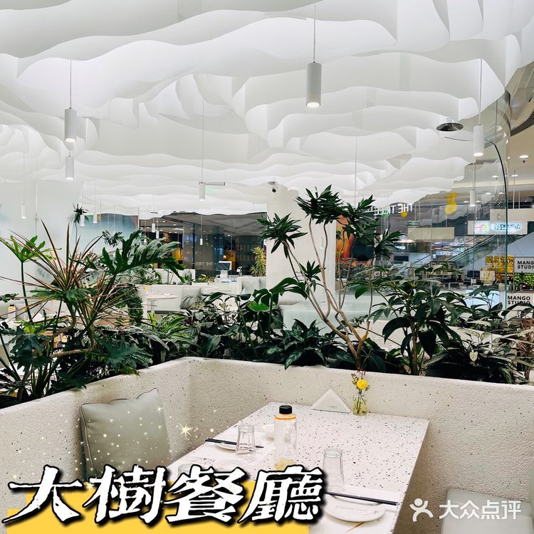 🌳二刷大树餐厅👭家人一起相聚超开心🥳