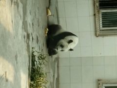 android_upload_pic-太原动物园