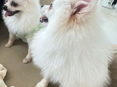 -怪兽屋·羊驼·猫咖·狗咖(俊华广场店)