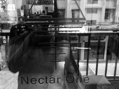 -Nectar One Cafe(勇烈路n1店)
