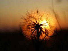 -苏州图书馆(姑苏区分馆)