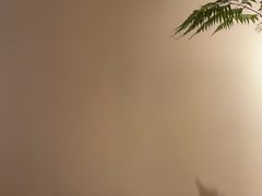 -小满里·TEA·茶室·茶空间