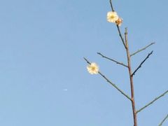 -立新湖公园