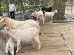 -广东茂名森林公园