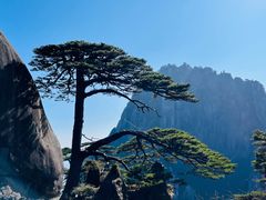 -黄山风景区