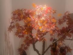 -和里合·颜愈SPA·Relax瑶浴·Massage(石厦店)