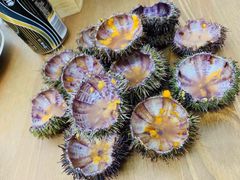 -海胆小馆(东北水饺·春柳店)