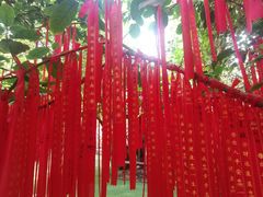 -呀路古热带植物园