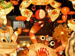 -西涌国际滨海旅游区