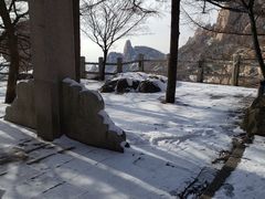 -崂山巨峰游览区