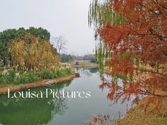 -贡湖湾湿地公园