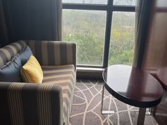 -常州环球恐龙城维景国际大酒店