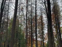 -艾溪湖湿地公园