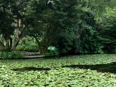 -中国科学院华南植物园