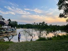 -白鹭湾湿地公园