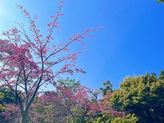 -晓港公园