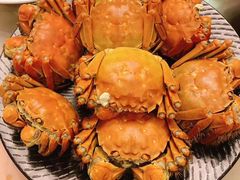 -王宝和酒家(黄浦店)