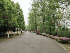 -洋湖国家湿地公园