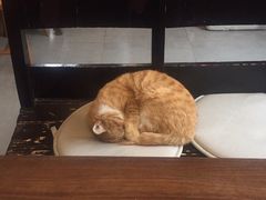 -知亘茶食