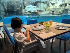 -帝企鹅自助餐厅•儿童岛•真企鹅(长隆企鹅酒店)