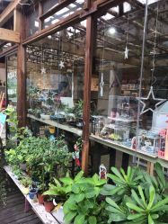 -梦田都市农场(银泰城店)