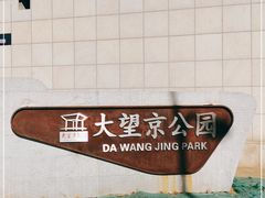 -大望京公园
