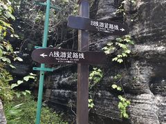 -梭布垭石林景区