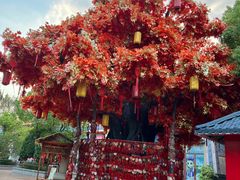 -芜湖方特东方神画